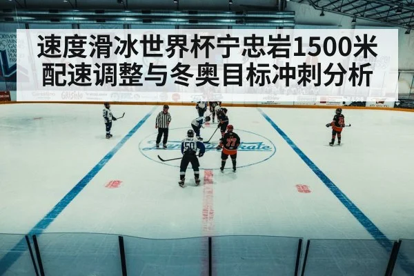 winter olympics ice rink